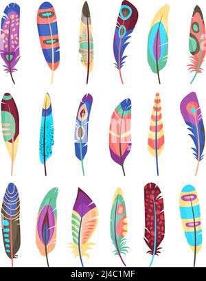 Ensemble de plumes de couleur vectorielle. Plumes d'oiseau peintes dans des motifs colorés Illustration de Vecteur
