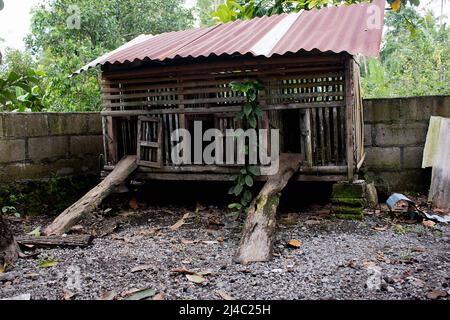 Ce bâtiment rustique en étain et en bois ondulé sert de poulailler à Yogyakarta, en Indonésie Banque D'Images