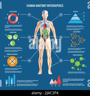 Motif infographique en couleur d'anatomie humaine sur fond bleu vert. Illustration de Vecteur