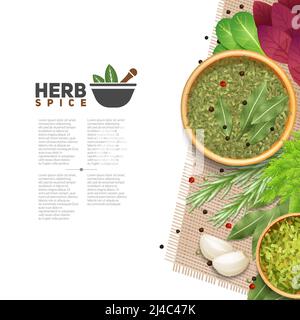 Avantages des herbes et des épices dans la cuisine affiche informative avec illustration du vecteur plat du symbole de mortier de texte et de pilon Illustration de Vecteur