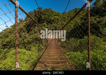 Pont suspendu dans la forêt tropicale, parc national du volcan Baru, montagnes du Chiriqui, Panama, Amérique centrale Banque D'Images