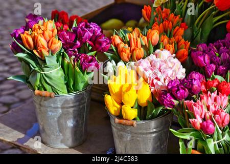 Fleurs de tulipe de printemps colorées en paniers au stand de vente du marché Banque D'Images