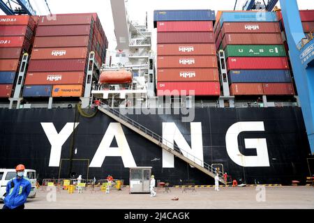 QINGDAO, CHINE - le 13 AVRIL 2022 - les navires de cargaison se quai au port de Qingdao, dans la province de Shandong, en Chine orientale, le 13 avril 2022. La qualité de Qingdao' Banque D'Images