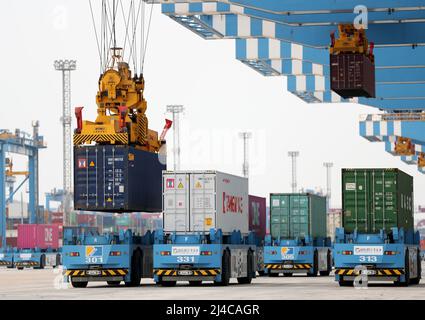 QINGDAO, CHINE - le 13 AVRIL 2022 - des véhicules guidés automatiques transportent des marchandises au quai entièrement automatisé du port de Qingdao, dans la province de Shandong en Chine orientale Banque D'Images