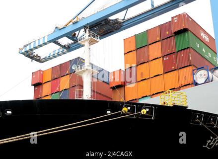 QINGDAO, CHINE - le 13 AVRIL 2022 - des véhicules guidés automatiques transportent des marchandises au quai entièrement automatisé du port de Qingdao, dans la province de Shandong en Chine orientale Banque D'Images