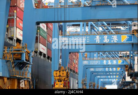 QINGDAO, CHINE - le 13 AVRIL 2022 - des véhicules guidés automatiques transportent des marchandises au quai entièrement automatisé du port de Qingdao, dans la province de Shandong en Chine orientale Banque D'Images