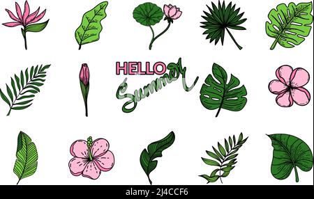 Ensemble d'éléments tropicaux de fleur de strelitzia tropicale, feuilles de monstre, feuilles de banane, lotus. Des éléments dessinés à la main de style Doodle, des fleurs brillantes et gre Illustration de Vecteur