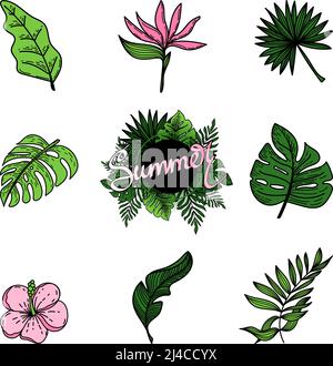 Ensemble d'éléments tropicaux de la fleur de strelitzia tropicale, hibiscus, feuilles de monstre, feuilles de banane, etc. Des éléments de style doodle dessinés à la main, des fleurs brillantes Illustration de Vecteur