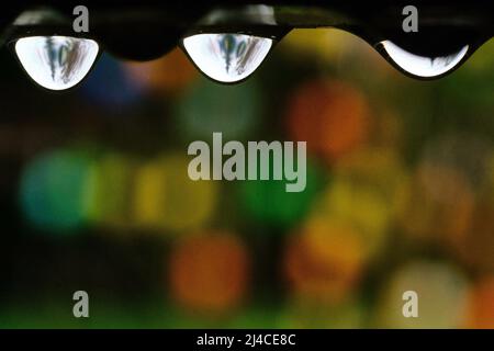 Brunswick, Allemagne. 14th avril 2022. Des gouttes d'eau pendent d'une pergola sous la pluie, tandis que des œufs en plastique colorés brillent en arrière-plan. Credit: Stefan Jaitner/dpa/Alay Live News Banque D'Images