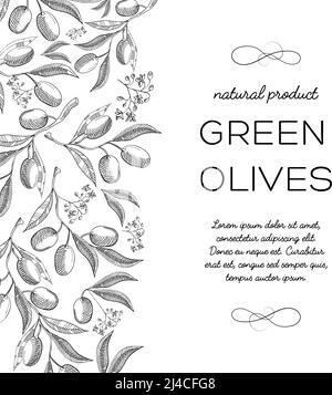 Typographie informative design carte décorative bosse ornée par la fleur verticale avec inscription à l'avant sur le dessin à la main des olives vertes vecteur Illustration de Vecteur