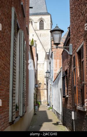 MECHELEN, Malin, Anvers, BELGIQUE, mars 28, 2022, allée vide dans le Groot Begijnhof de Mechelen, Flandre, Belgique. Photo de haute qualité Banque D'Images