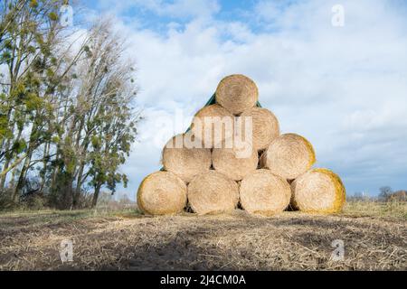 Balles de paille empilées au bord du champ après la récolte et protégées de la pluie avec une bâche, Düsseldorf, Allemagne Banque D'Images