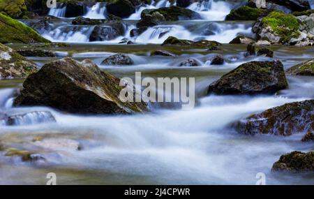 Le ruisseau de montagne coule sur des pierres recouvertes de mousse, Zeller Ache, Mondsee, Mondseeland, Salzkammergut, Haute-Autriche, Autriche Banque D'Images