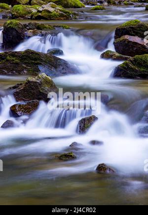 Le ruisseau de montagne coule sur des pierres recouvertes de mousse, Zeller Ache, Mondsee, Mondseeland, Salzkammergut, Haute-Autriche, Autriche Banque D'Images