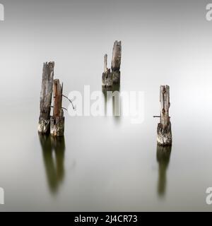 Pieu en bois sur le Grand Jasmund Bodden, île de Ruegen, côte de la mer Baltique, Mecklembourg-Poméranie occidentale, Allemagne Banque D'Images