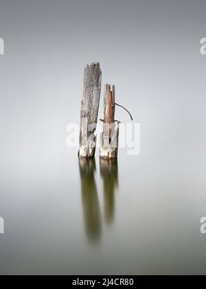 Pieu en bois sur le Grand Jasmund Bodden, île de Ruegen, côte de la mer Baltique, Mecklembourg-Poméranie occidentale, Allemagne Banque D'Images