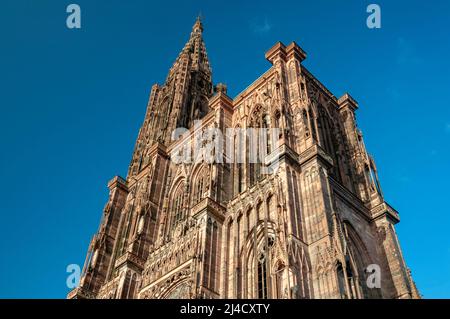 Façade de la cathédrale notre-Dame de Strasbourg dans la vieille ville, site classé au patrimoine mondial de l'UNESCO, Strasbourg, Bas-Rhin (67), région du Grand est, France Banque D'Images