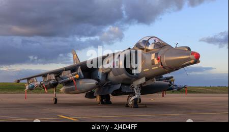 Harrier GR.7 XD318 à RAF Wittering Banque D'Images