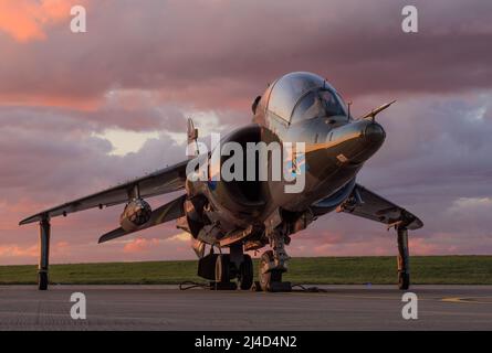 Harrier T4 XZ146 à RAF Wittering Banque D'Images