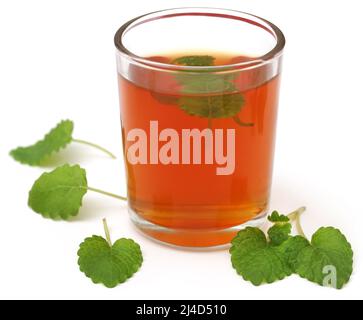 Feuilles de baume de citron avec tisane dans un verre transparent sur fond blanc Banque D'Images