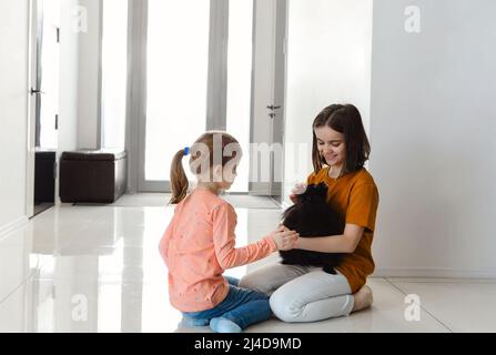 Concept PET Lover. Joyeuses petites filles qui plaquent le chien spitz de Poméranie dans le salon. Deux sœurs joyeuses et un jeune chiot se regardant l'un vers l'autre Banque D'Images