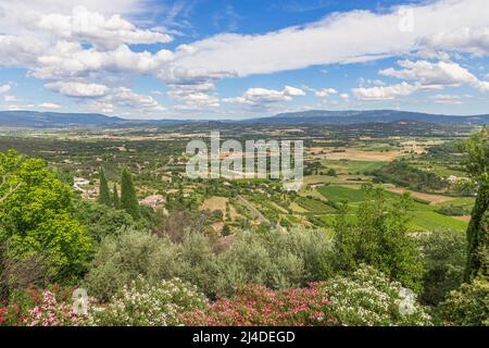 Vue à couper le souffle sur la vallée du Luberon sous un ciel bleu avec des nuages blancs, le jour d'été, arbres fleuris aux couleurs riches. Vaucluse, Provence, Alpes, Côte d'Azur Banque D'Images