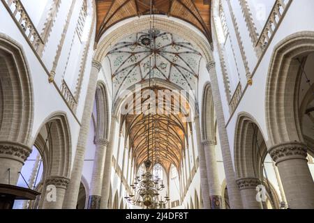 le toit voûté de l'église st bavo à côté de la place du marché avec une tour d'horloge ornée dans haarlem holland Banque D'Images