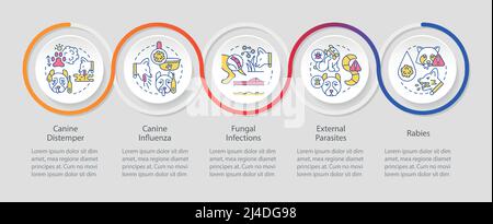 Modèle d'infographie sur la protection du chien contre la maladie Illustration de Vecteur