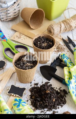 Graines de plantes cultivées dans des pots biodégradables près des outils de jardin sur une table en bois. Jardinage intérieur, plantes maison, germinant des graines d'herbes, vue de dessus Banque D'Images