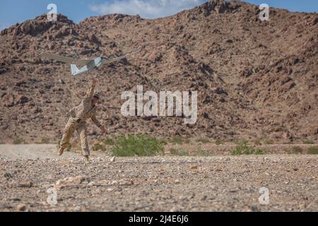 Caporal du corps des Marines des États-Unis Bruce Stombaugh, spécialiste du renseignement au 1st Bataillon, 3D Marines, lance un système puma RQ-20 dans le cadre de l'exercice d'entraînement de niveau de service 1-22 au Marine corps Air Ground combat Centre Twentynine Palms, Californie, le 24 septembre 2021. Des systèmes de surveillance nouveaux et perfectionnés améliorent 3D la capacité des Marines de commander et de contrôler ses forces dans un environnement expéditionnaire et contesté. Stombaugh est originaire d'Indianapolis, Indiana. (É.-U. Photo du corps marin par Cpl. Alexis Moradian) Banque D'Images