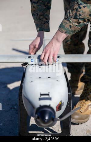 Un Marine américaine, avec 2D Bataillon de reconnaissance léger, 2D Division Marine, assemble l'aile principale d'un système d'avions sans pilote stacker pendant l'exercice littoral II (LEX II) sur le Camp Lejeune, Caroline du Nord, le 3 mars 2022. Au cours du LEX II, les marins et les marins visent à mettre en pratique leur capacité à décourager le comportement coercitif d’un adversaire notionnel et à contribuer directement par la dissuasion au moyen de systèmes technologiques de pointe. La division a mis à l'essai de nouvelles tactiques et de nouvelles formations avec des équipes de reconnaissance et de contre-reconnaissance multidomaines, conformément à la Force Design 2030. Photo du corps des Marines des États-Unis Banque D'Images