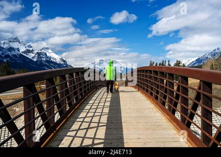 Des personnes méconnaissables marchant sur un pont piétonnier en bois au-dessus du canyon du cougar à Canmore, avec des sommets enneigés contre le ciel bleu dans le dos Banque D'Images