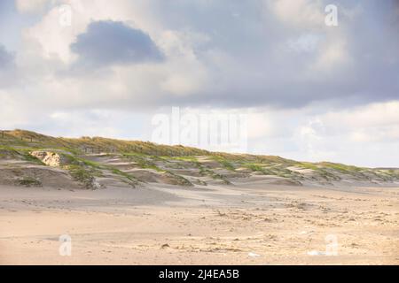 Paysage côtier côte hollandaise de la mer du Nord au lever du soleil avec les anciennes et nouvelles dunes adouci par les vents de tempête et surgrandi avec l'herbe de maram et les ombres et Banque D'Images