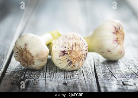 Bulbe d'ail entier. Ail blanc frais sur une table en bois. Banque D'Images