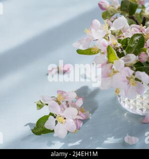 Branches avec fleurs de pomme blanche dans un verre transparent Banque D'Images