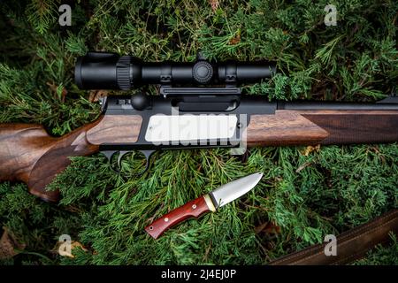Gros plan d'un fusil de chasse de luxe avec une vue optique. Carbine boulonnée avec un stock de bois. Couteau iochoinichi à armes à feu sur branches de sapin vert. Satura Banque D'Images