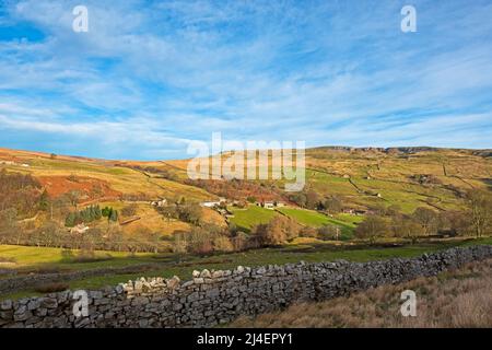 Arkengarthdale, parc national de Yorkshire Dales, en hiver, les champs sont toujours verts, bien que les zones de saumâtre et de bruyère soient de la rouille et de l'or. Sec Banque D'Images