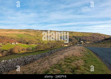 Arkengarthdale, parc national de Yorkshire Dales, en hiver, les champs sont toujours verts, bien que les zones de saumâtre et de bruyère soient de la rouille et de l'or. Banque D'Images