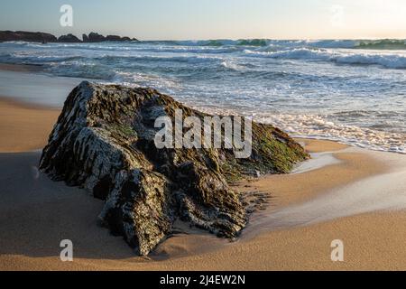 Rock sur la plage au milieu des vagues qui s'écrasant à Big sur CA Banque D'Images