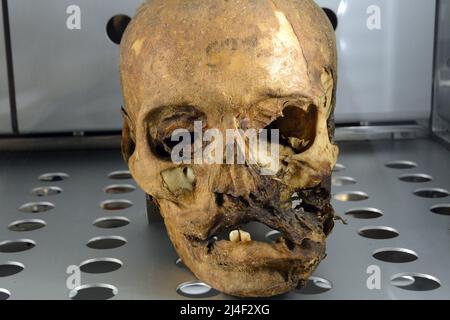 Crâne momifié des momies Guanche, de l'ancienne communauté berbère de Ténérife, exposé dans un musée de Santa Cruz, aux îles Canaries, en Espagne. Banque D'Images