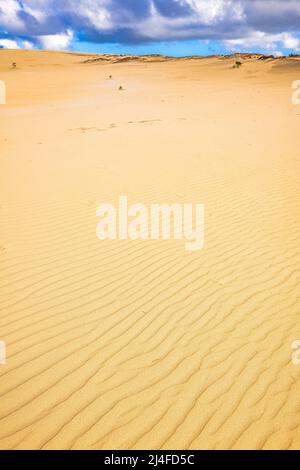 Le Wungul Sandblow s'étend jusqu'au loin sur Fraser Island, Queensland, Australie Banque D'Images