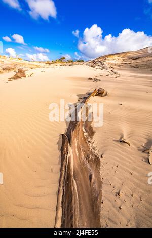 Wungul Sandblow, Fraser Island, Queensland, Australie Banque D'Images