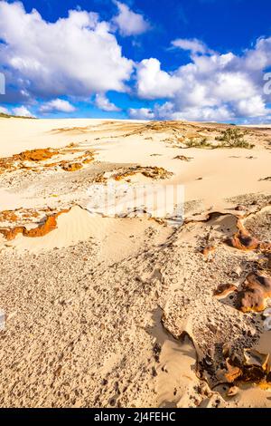 Un paysage inhabituel attend les visiteurs du Wungul Sandblow sur l'île Fraser. Queensland, Australie Banque D'Images