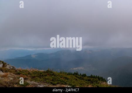 Panoramas des Carpates à l'aube, panoramas de rêve sur les montagnes, les buissons de montagne et les prairies. Banque D'Images