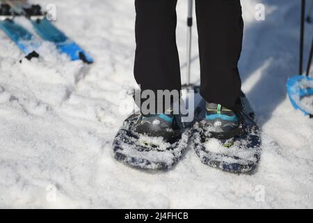 Schneeschuh-Wandern auf dem Feuerkogel im Salzkammergut (Bezirk Gmunden, Oberösterreich, Österreich) - randonnées en raquettes sur la montagne Feuerkogel dans le S Banque D'Images