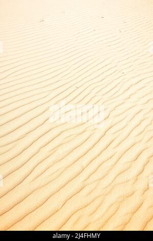 Le sable se forme en ondulations à Wungul Sandblow, Fraser Island, Queensland, Australie Banque D'Images