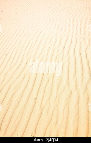 Le sable se forme en ondulations à Wungul Sandblow, Fraser Island, Queensland, Australie Banque D'Images