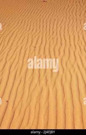 Ondule dans le sable à Wungul Sandblow, Fraser Island, Queensland, Australie Banque D'Images