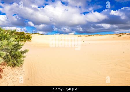 Le Wungul Sandblow s'étend jusqu'au loin sur Fraser Island, Queensland, Australie Banque D'Images