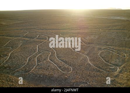 Incroyable géoglyphes antiques de lignes de Nazca appelé Arbol (arbre) dans la lumière du soleil du soir, vue de la tour d'observation dans le désert de Nazca, Pérou Banque D'Images